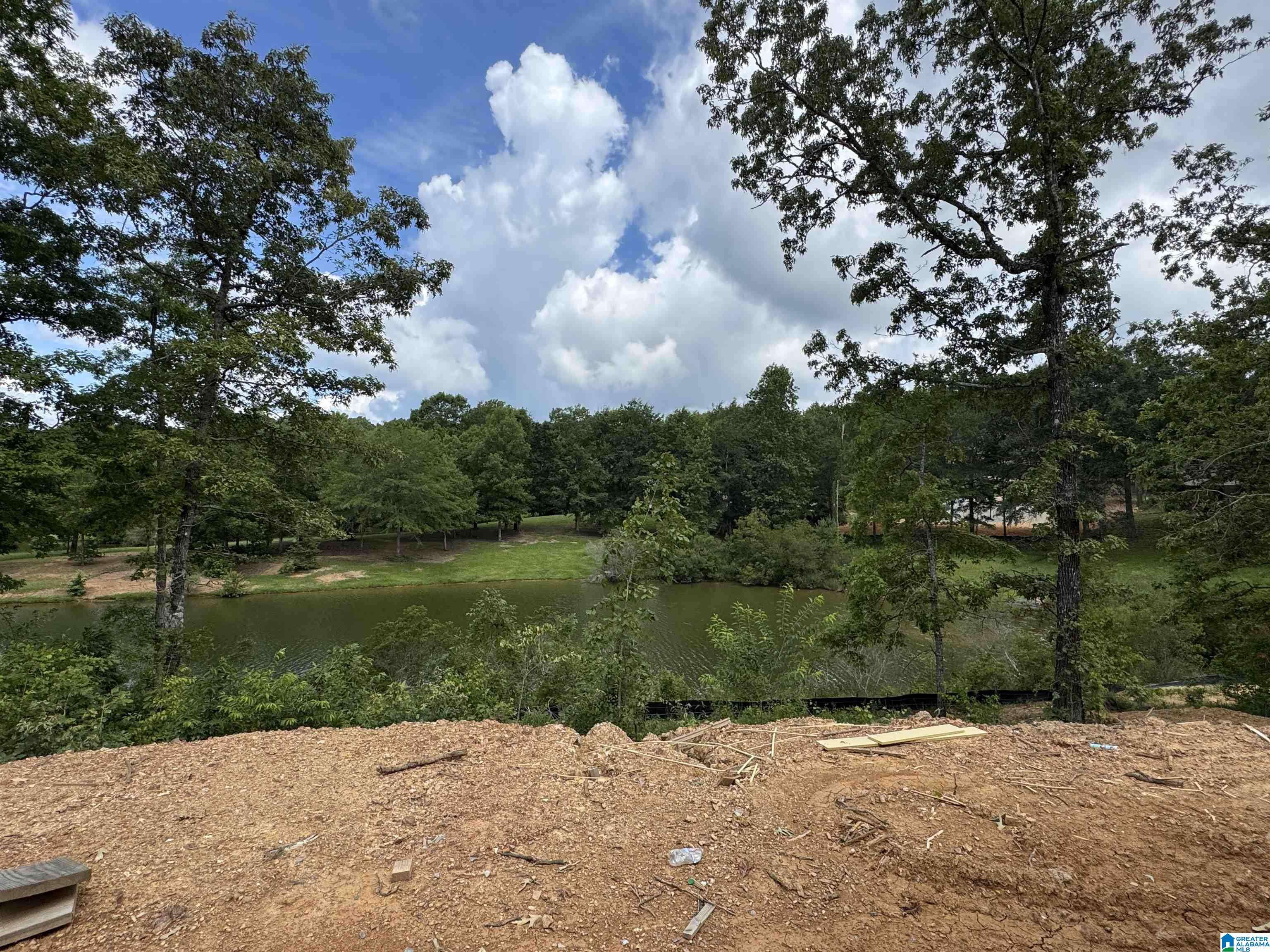 Chelsea, AL 35043,612 EMERALD TRACE