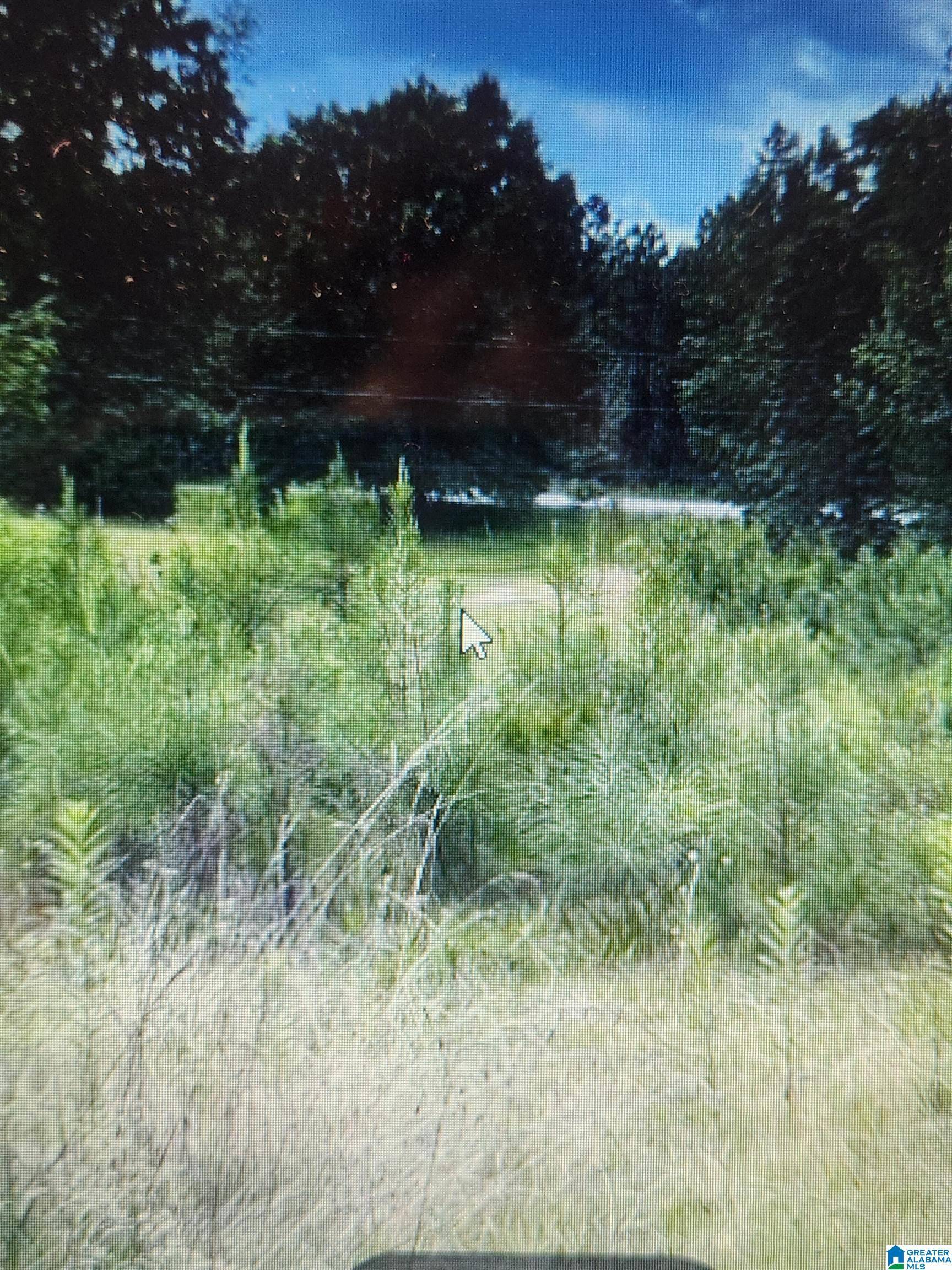 587 MOUNTAIN DRIVE, Remlap, AL 35133