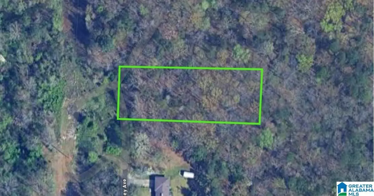 Birmingham, AL 35217,1079 TALLEY AVENUE #0