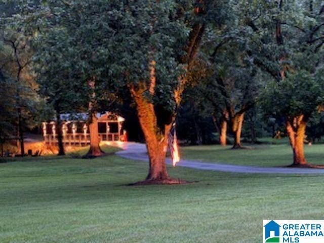 Anniston, AL 36207,1250 OLD DOWNING MILL ROAD