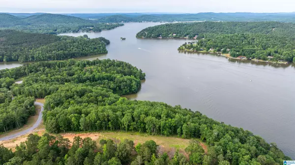 Ragland, AL 35131,0 WILL BLACK HOLLOW ROAD