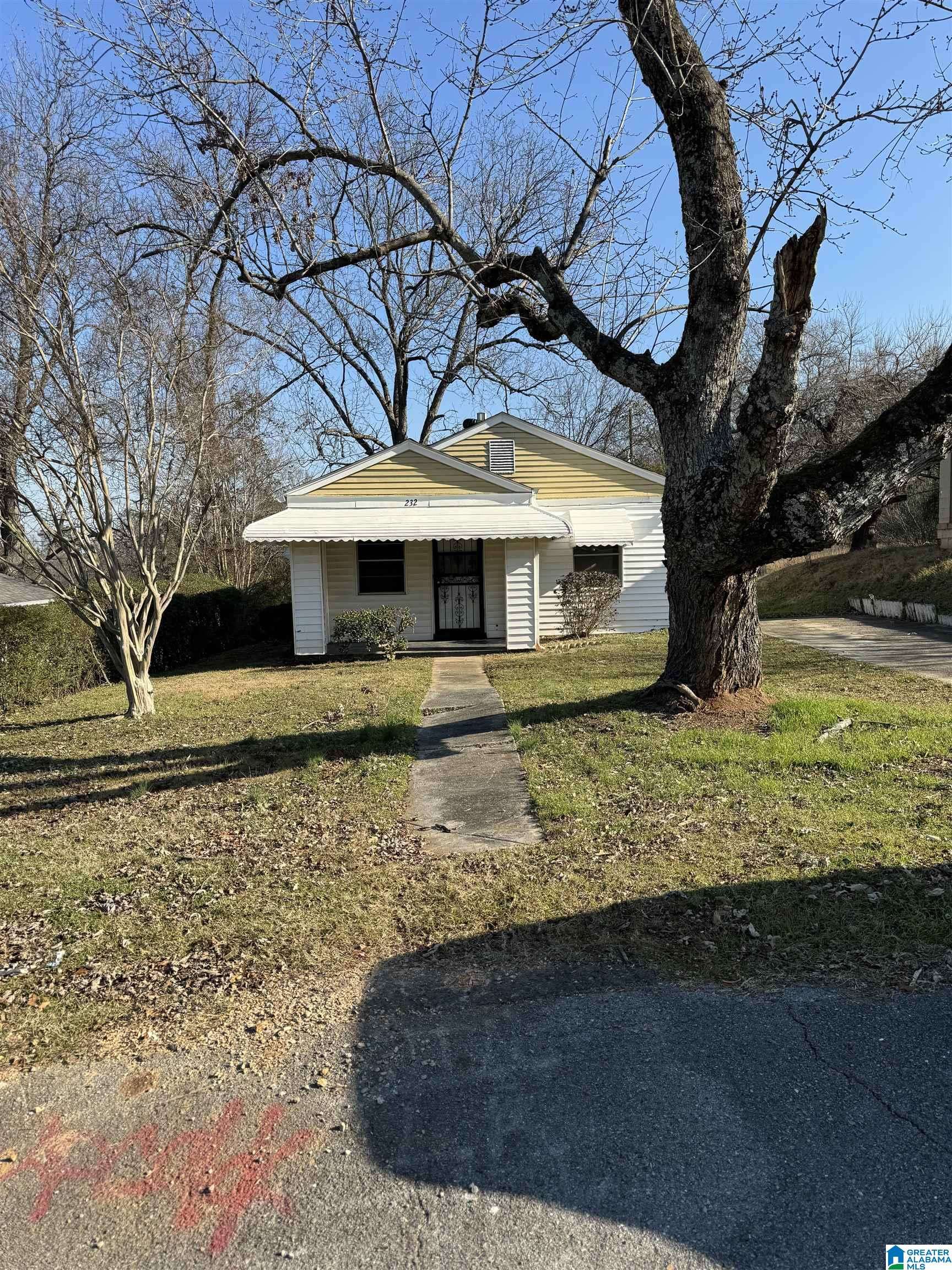 Birmingham, AL 35211,232 FLORA STREET SW