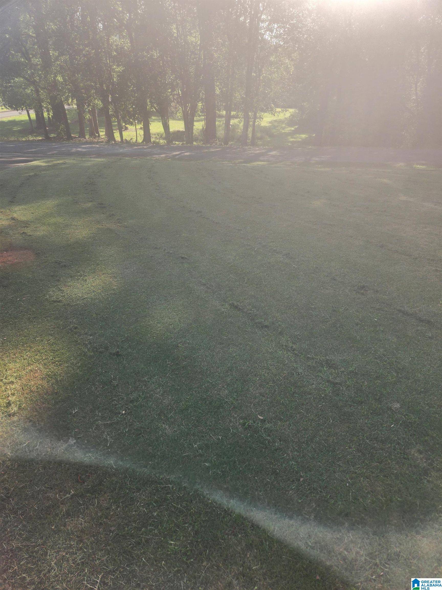 Talladega, AL 35160,101 SILVERWOOD DRIVE #Lot 1