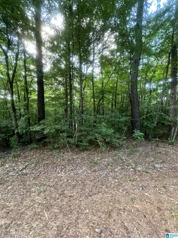 Alexander City, AL 35010,0 ANDREW JACKSON ROAD #19