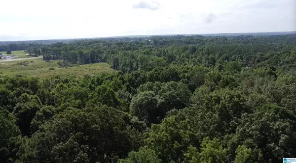 Vinemont, AL 35179,14959 ALABAMA HIGHWAY 157 #1