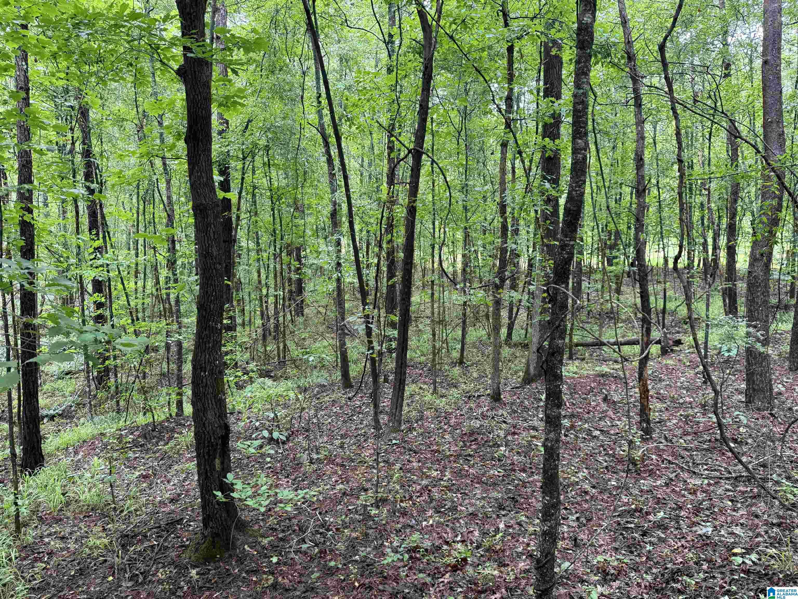 Vandiver, AL 35176,53756 HIGHWAY 25 #0