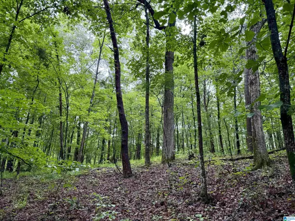 Vandiver, AL 35176,53756 HIGHWAY 25 #0