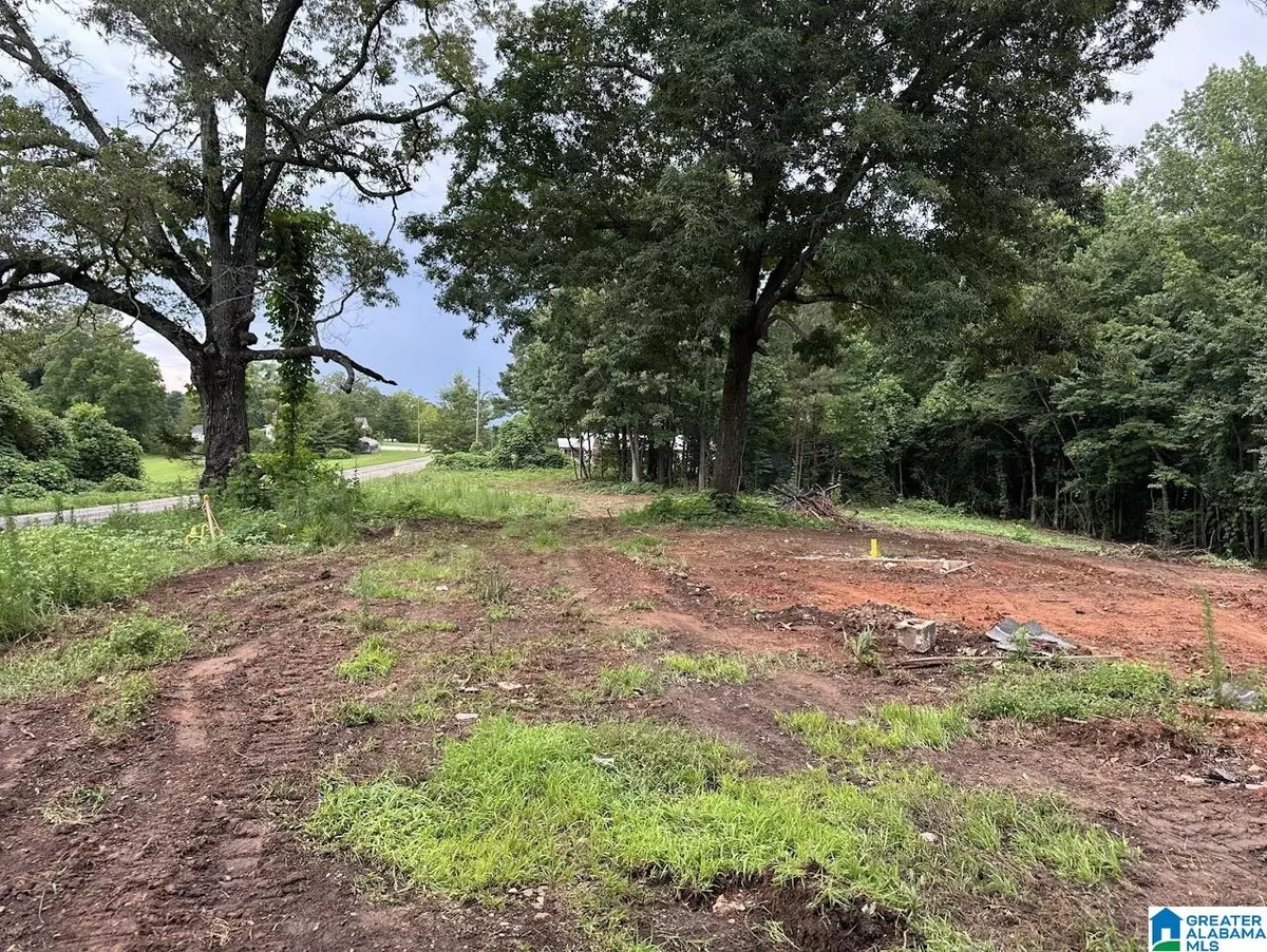 Roanoke, AL 36274,0 COUNTY ROAD 61 #1