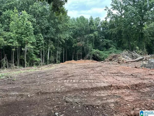 Roanoke, AL 36274,0 COUNTY ROAD 61 #1