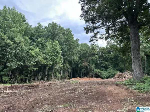 Roanoke, AL 36274,3182 COUNTY ROAD 61 #0