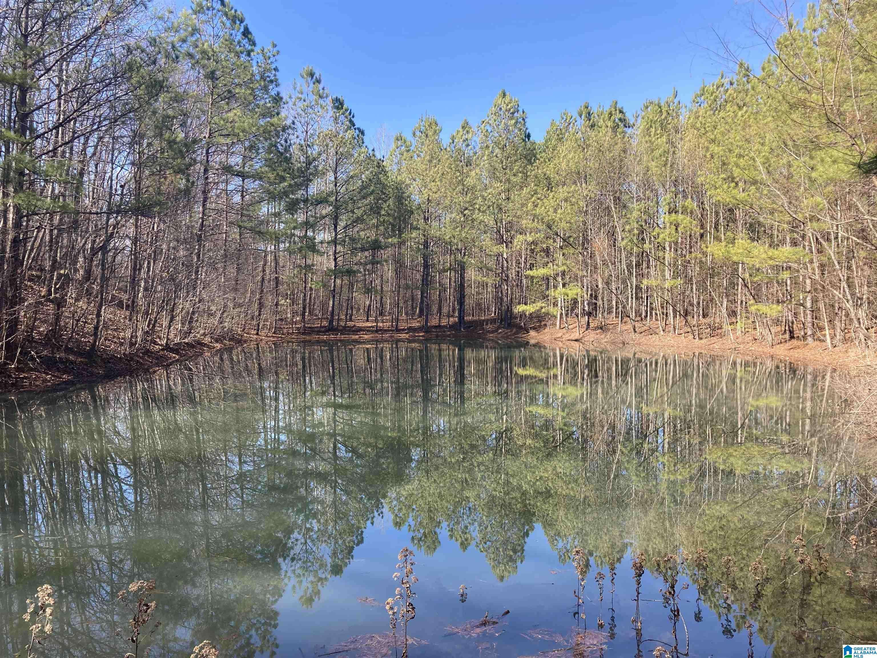 143 ROCKY HOLLOW LANE #0, Piedmont, AL 36272