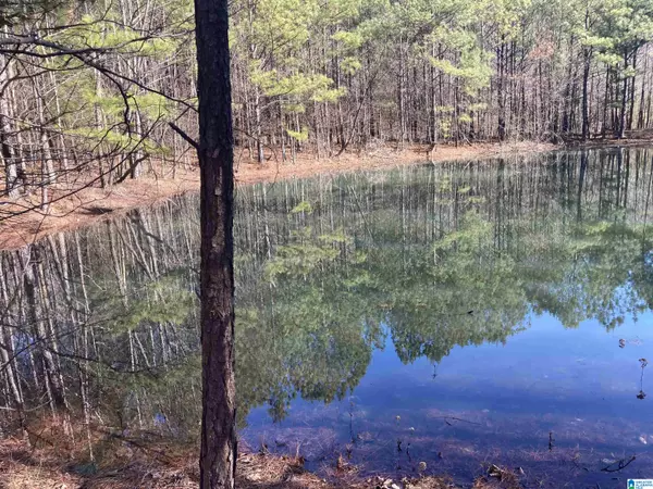 Piedmont, AL 36272,143 ROCKY HOLLOW LANE #0