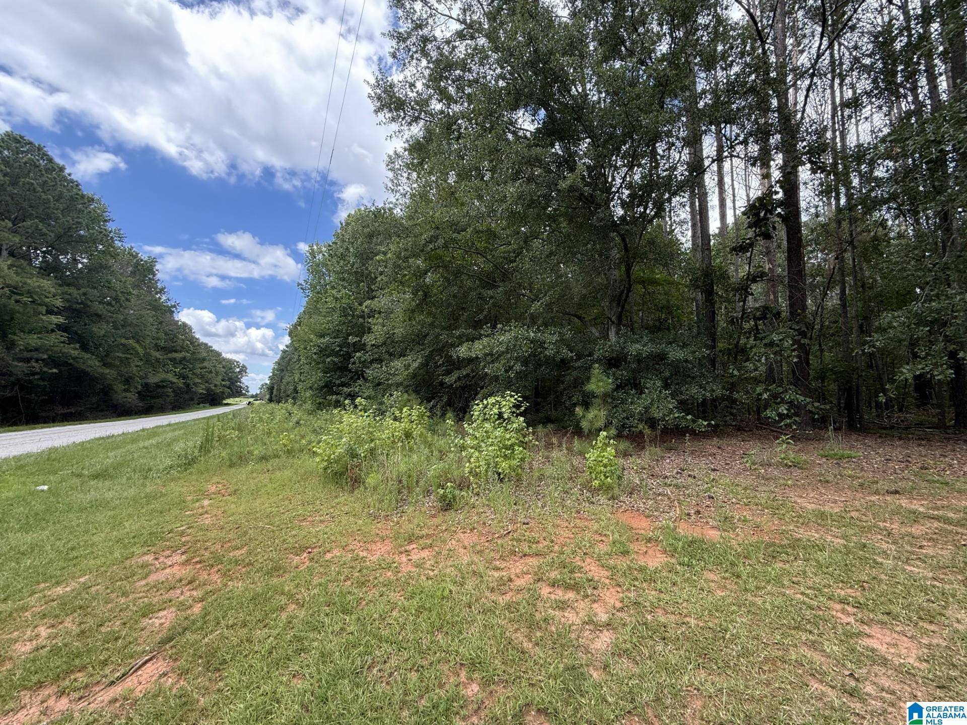 Tract 3 COUNTY ROAD 103 #3, Woodland, AL 36280