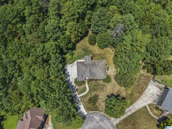 301 EMERALD LANE, Chelsea, AL 35043