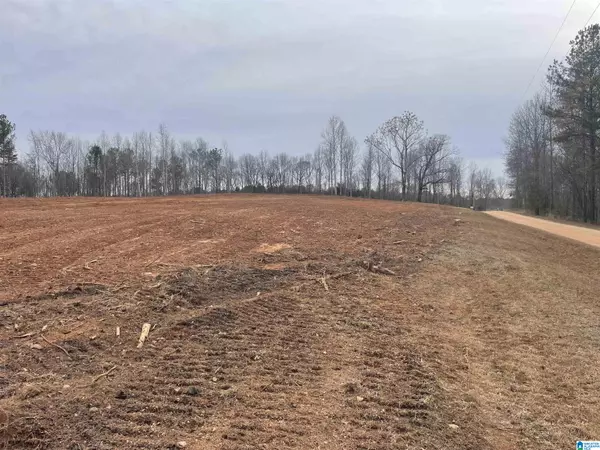 Lineville, AL 36266,17+/- Acres PEACE OF MIND DRIVE #2