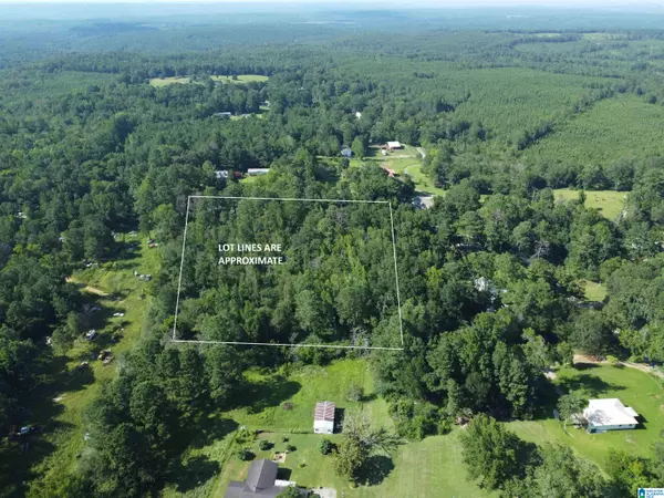 Montevallo, AL 35115,0 COUNTY ROAD 10 #000