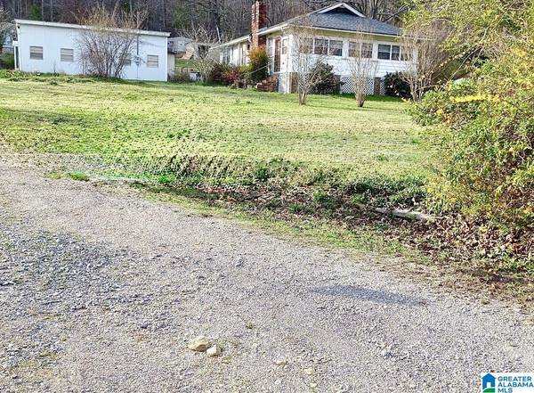 16829 REMLAP DRIVE, Remlap, AL 35133