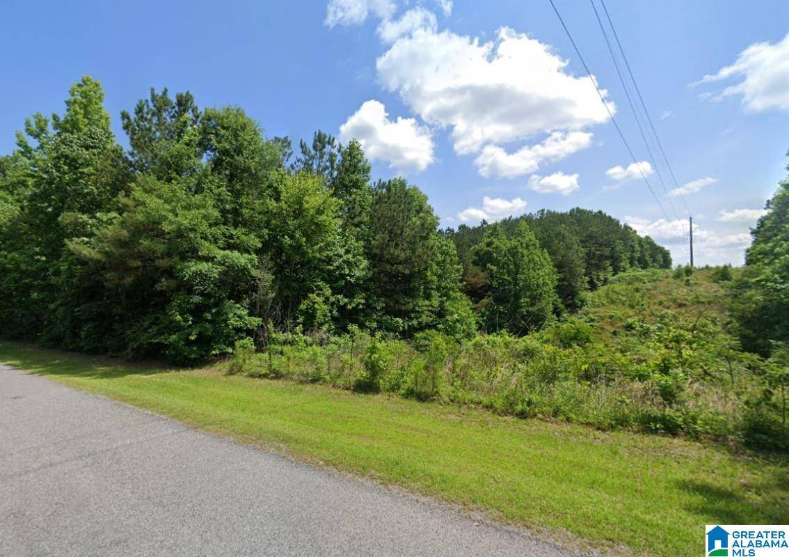 0 CHALY SPRINGS ROAD #-, Hayden, AL 35079