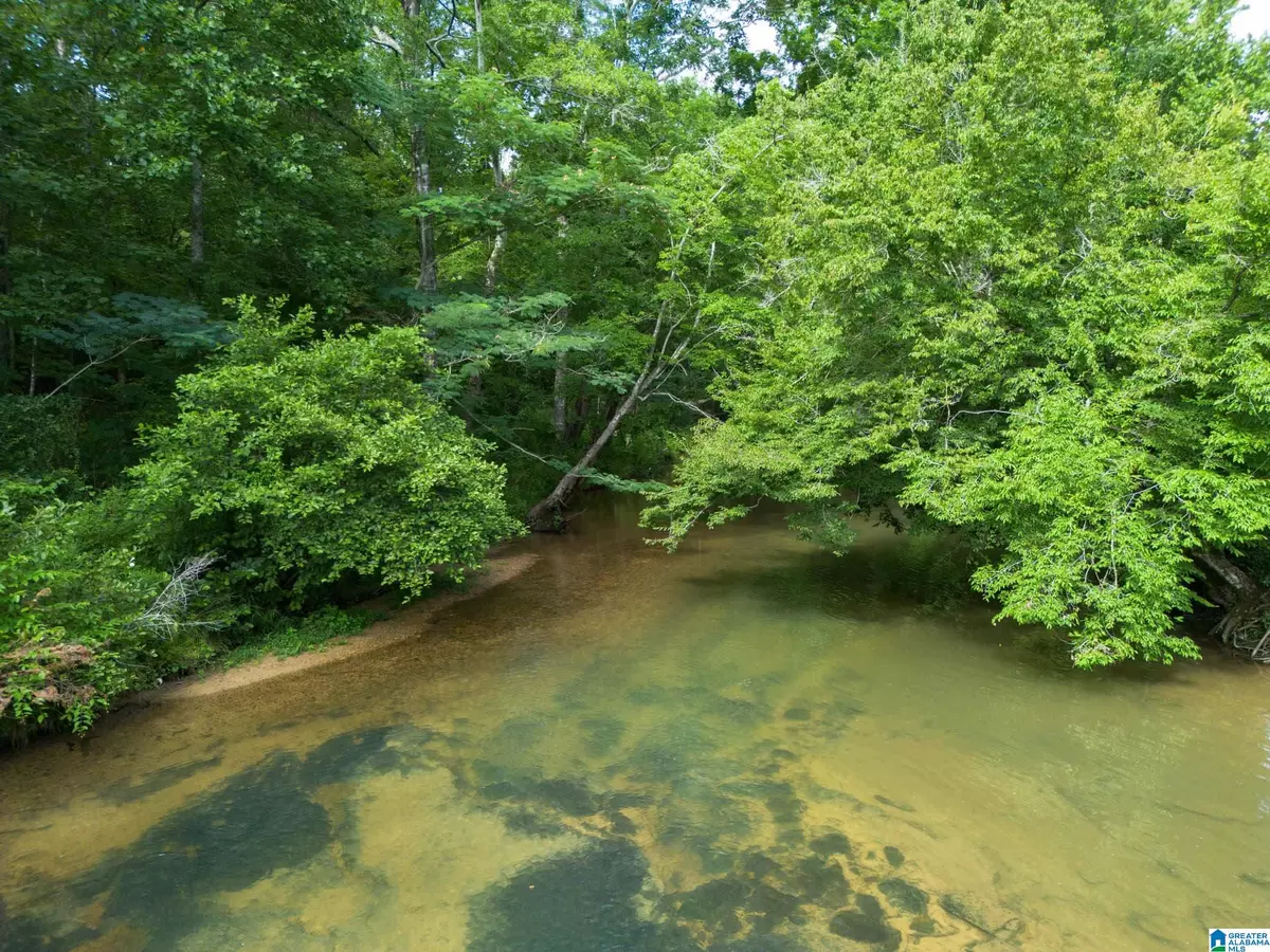 Pinson, AL 35126,7286 CHERRY DRIVE #123 Acres