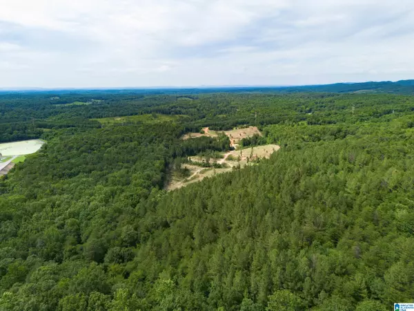 Pinson, AL 35126,7286 CHERRY DRIVE #123 Acres