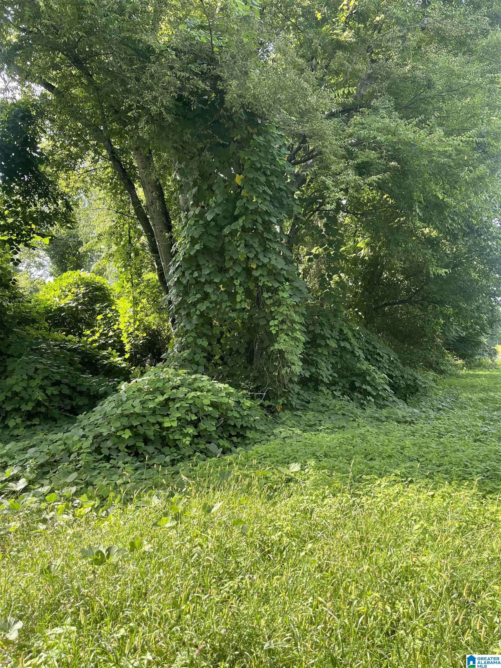 5300 SALINA AVENUE #5&6, Bessemer, AL 35022