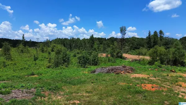 0 GENERAL JACKSON MEMORIAL DRIVE #0, Sylacauga, AL 35151