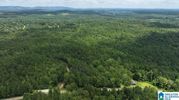 0 COOSA COUNTY ROAD 511 #0, Goodwater, AL 35072