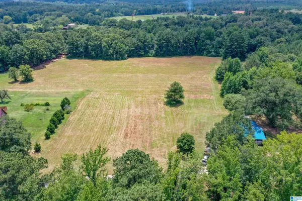 Lincoln, AL 35096,1675 BLUE EYE SPRINGS ROAD