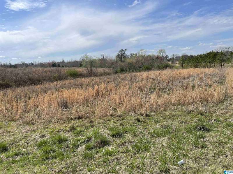 00 COUNTY ROAD 83 #1, Clanton, AL 35045
