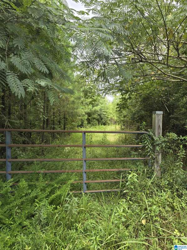 002 COUNTY ROAD 256 #1, Clanton, AL 35045