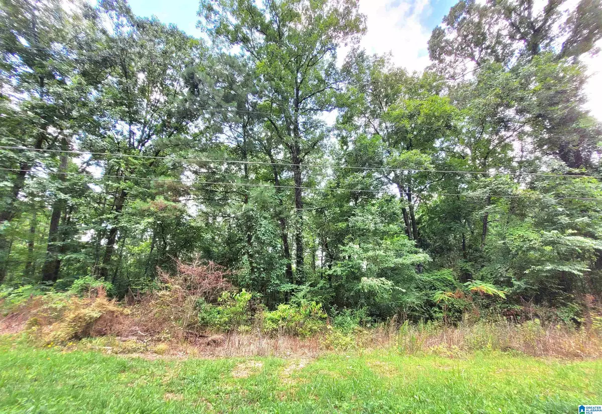 Talladega, AL 35160,000 BRYAN STREET #14