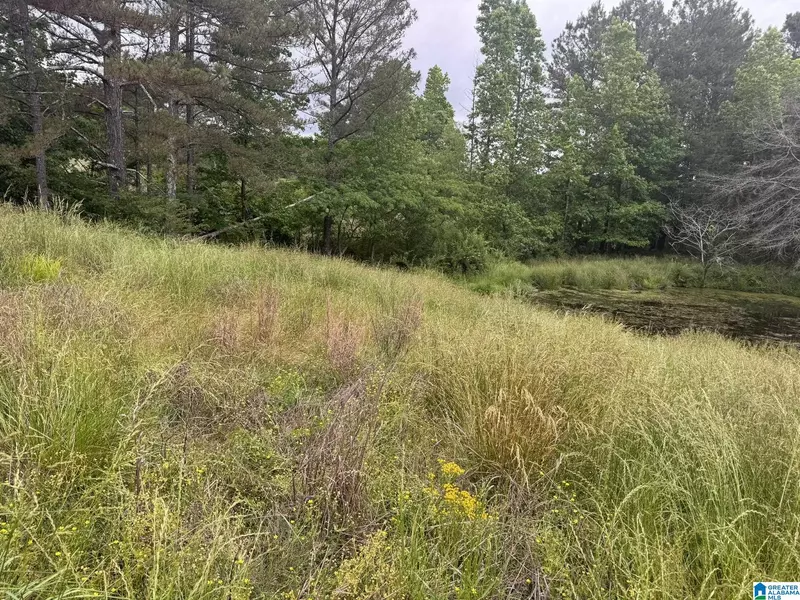 0 BUSBY CUT OFF ROAD #0, Nauvoo, AL 35578