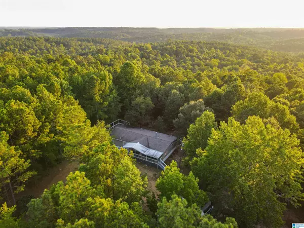 Carbon Hill, AL 35549,1201 COUNTY ROAD 45