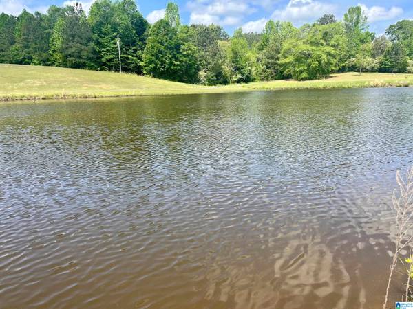 Lot 13 MARY DRIVE #13, Roanoke, AL 36274