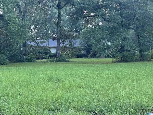 6942 ROBIN LANE, Mccalla, AL 35111