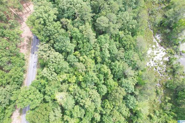 Riverside, AL 35135,000 HAVEN CIRCLE #10 & 11