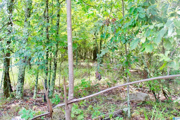 Chelsea, AL 35043,14548 HIGHWAY 280 #Lot #1 and Lot #2