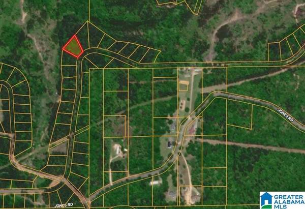 0 JONES ROAD #18, Alpine, AL 35014
