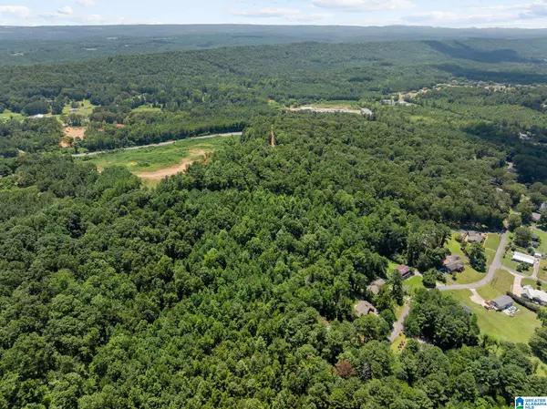 0 SUNSHINE AVENUE #N/A, Oneonta, AL 35121