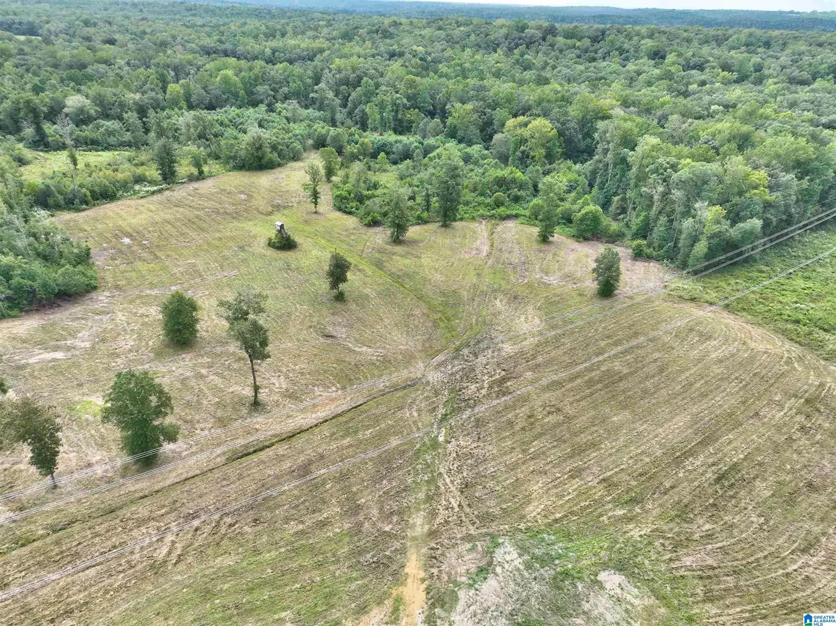 Maplesville, AL 36750,0 COUNTY ROAD 191 #na