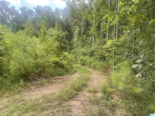 1700 LAKESIDE DRIVE #N/A, Mccalla, AL 35111