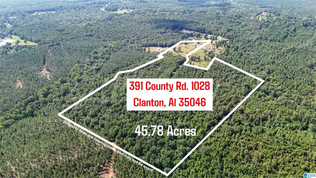 391 COUNTY ROAD 1028 #0, Clanton, AL 35046