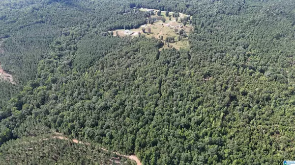 Clanton, AL 35046,391 COUNTY ROAD 1028 #0