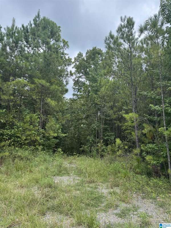 SHORE SIDE LANE #210, Sylacauga, AL 35151