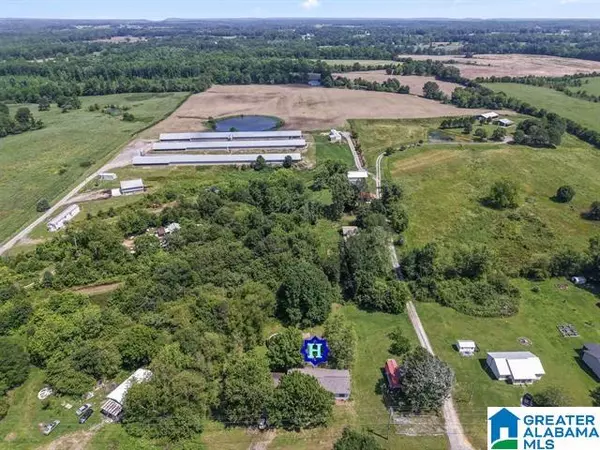 Baileyton, AL 35019,700 FAIRVIEW ROAD