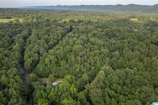 Attalla, AL 35954,160 MILL HILL ROAD
