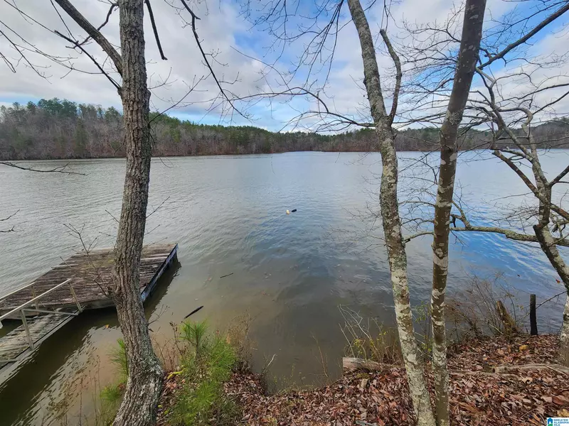 Lot 8 EAGLE POINT ROAD #1, Rockford, AL 35136