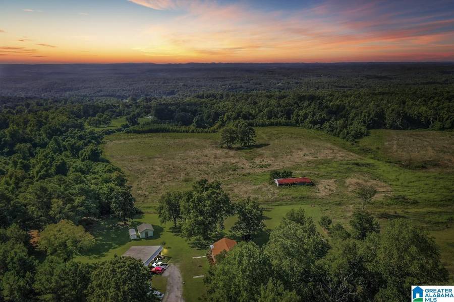 250 RUNWAY DRIVE, Hayden, AL 35079