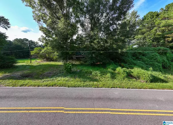 Double Springs, AL 35553,0 COUNTY ROAD 32 #0