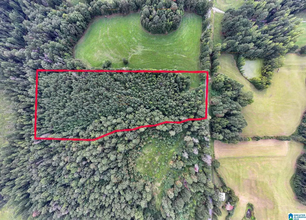 Double Springs, AL 35553,0 COUNTY ROAD 32 #0